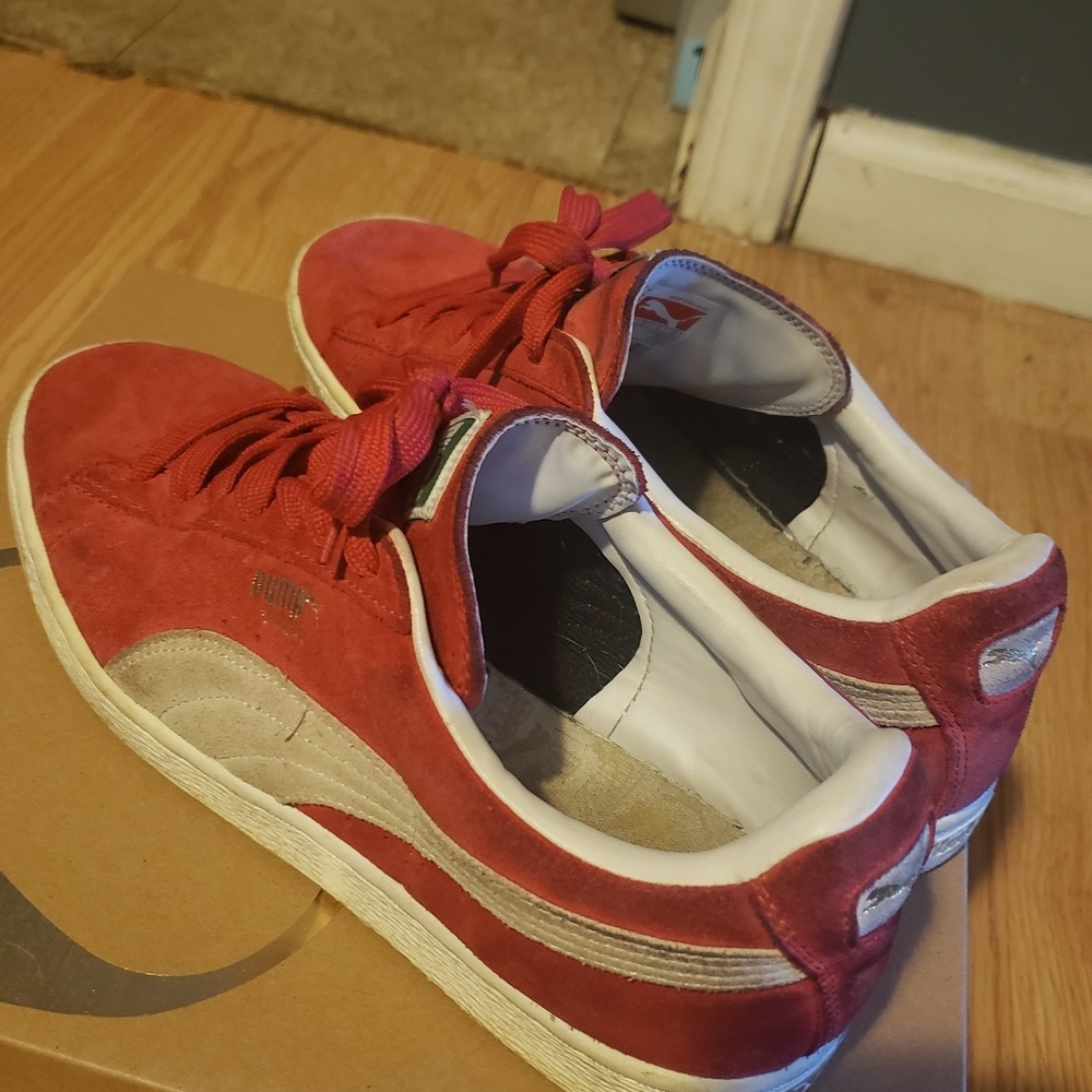 Puma